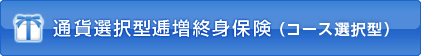 ʉݑI^IgیiR[XI^j