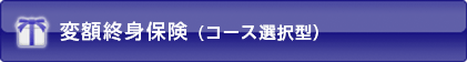 ϊzIgیiR[XI^j
